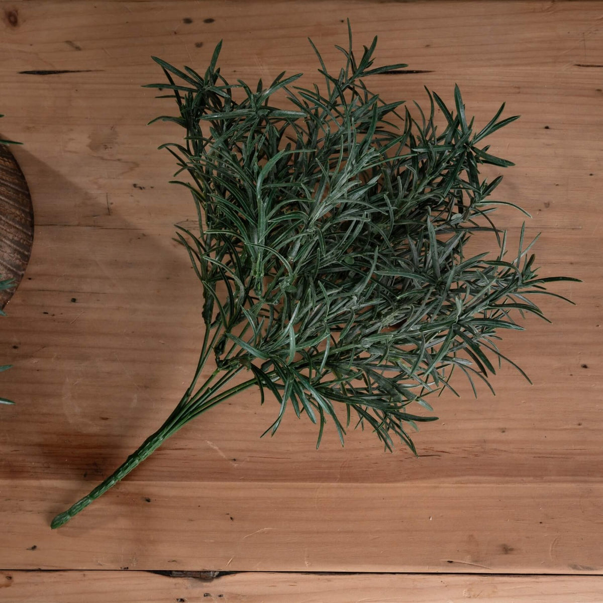3 x Rosemary Bush Filler