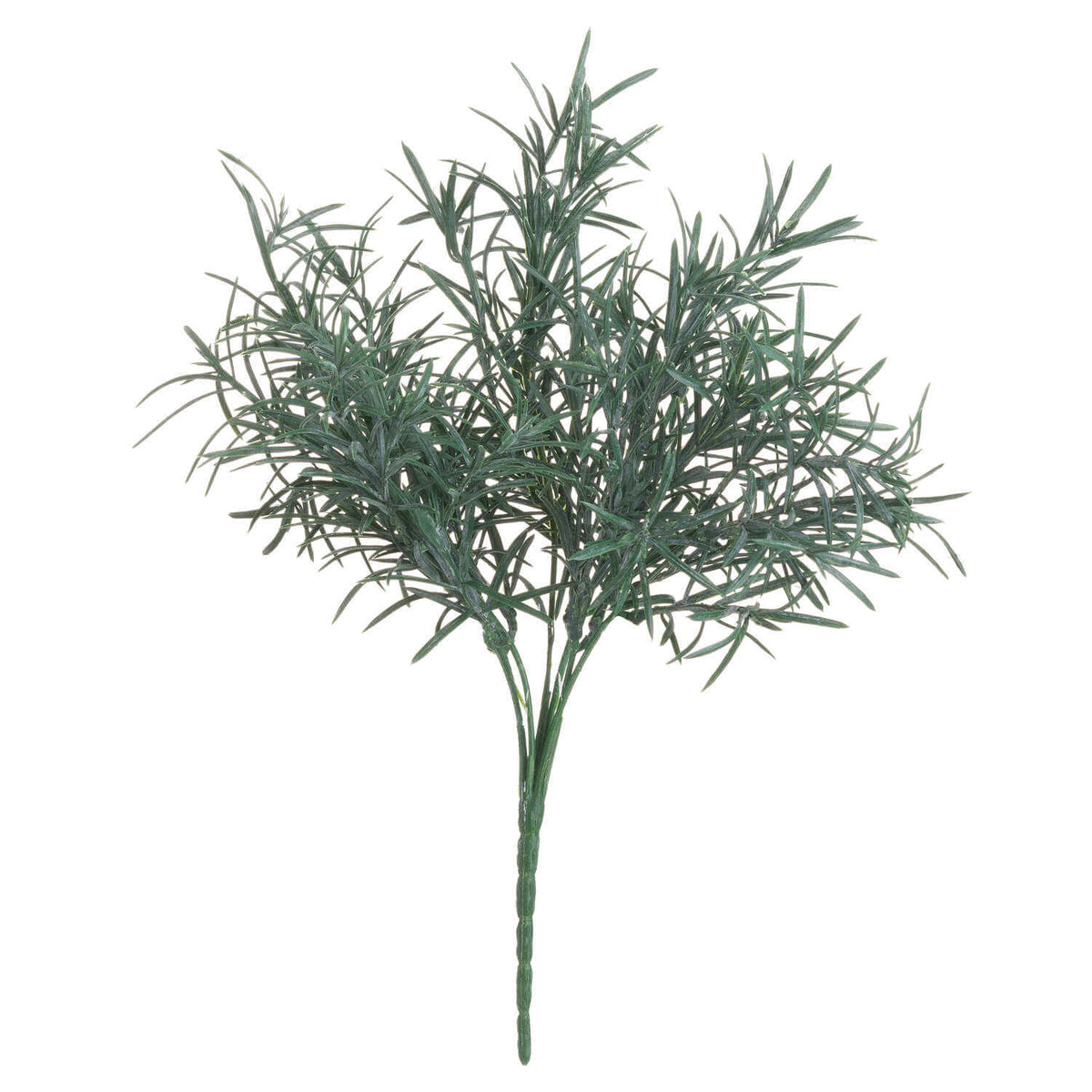 3 x Rosemary Bush Filler
