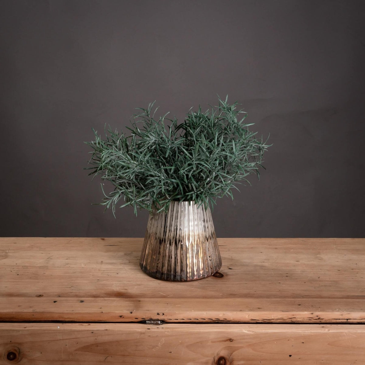 3 x Rosemary Bush Filler