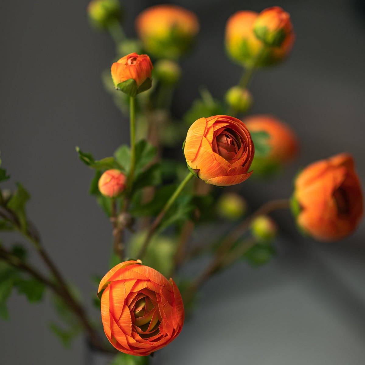 Faux Orange Ranunculus arrangement