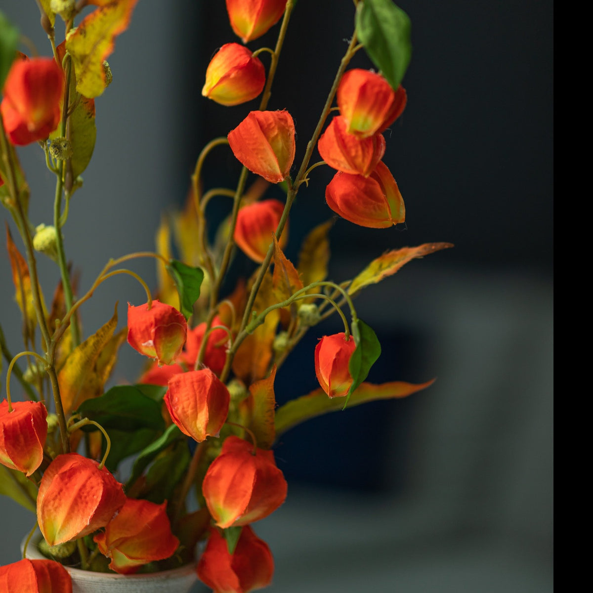 Faux Chinese Lanterns &amp; Silver Bell Autumn Eucalyptus Arrangement