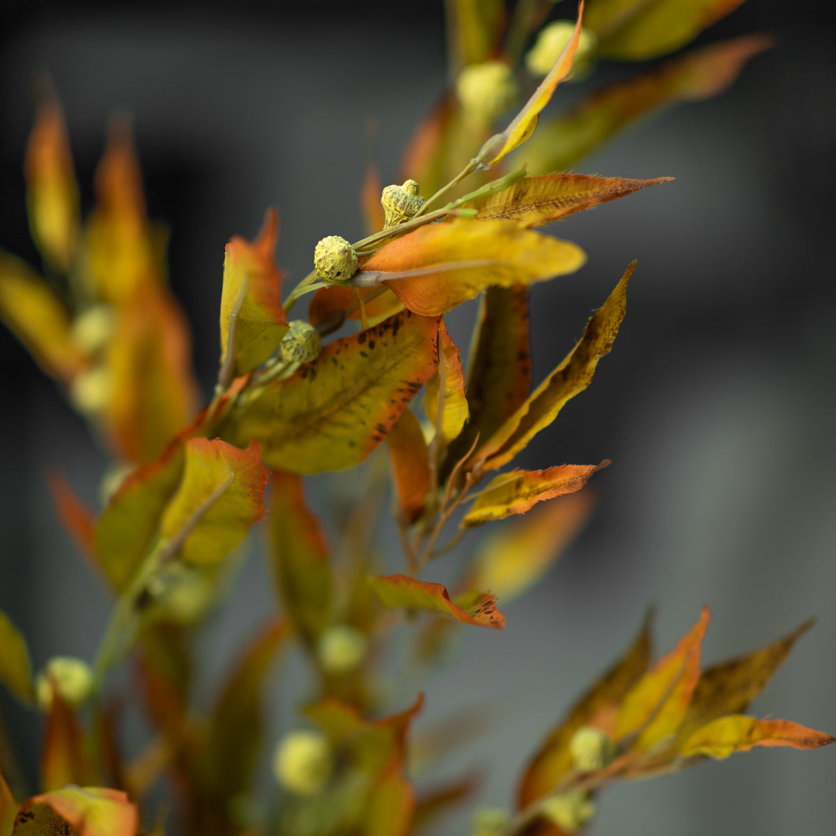 Silver Bell Autumn Eucalyptus Arrangement