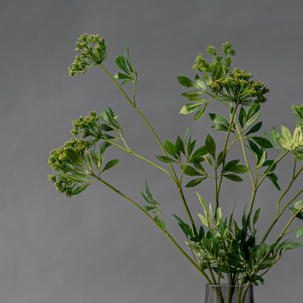 Faux Cow Parsley Ammi Arrangement