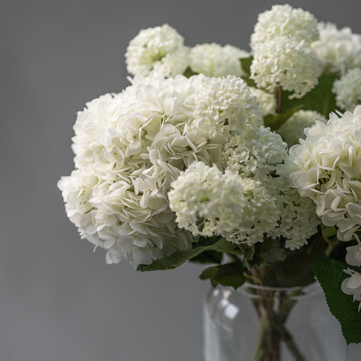 Oversized White Hydrangea &amp; Viburnum Opulus Arrangement