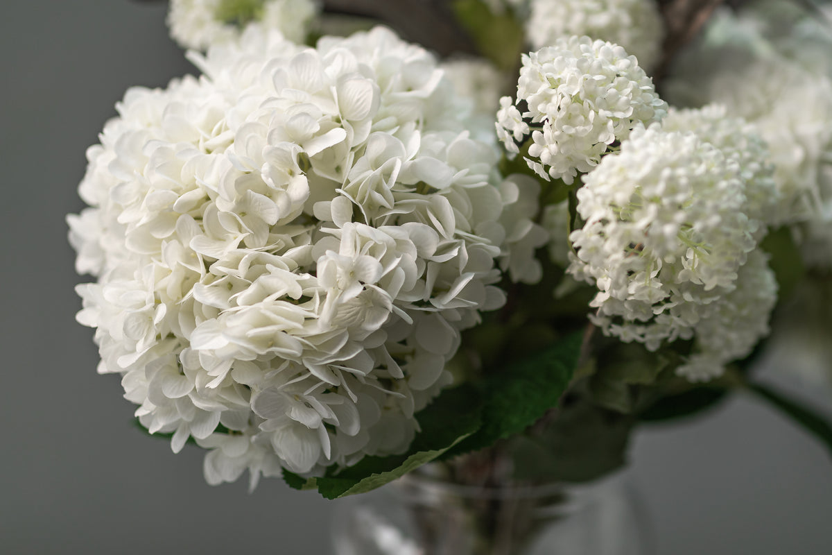 Oversized White Hydrangea &amp; Viburnum Opulus Arrangement
