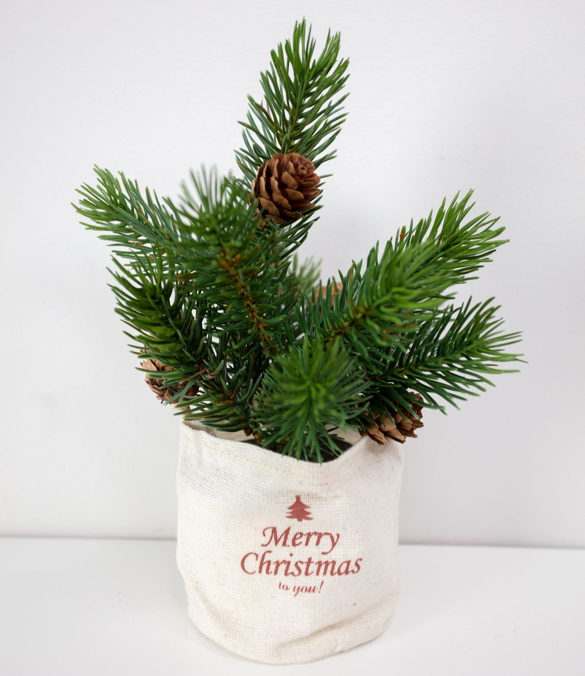 Cotton Bag Hanging Mini Tree
